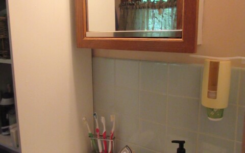 Vintage blue tile was in good condition but updated wood mirror was water damaged. Large storage shelf crowded the small space.